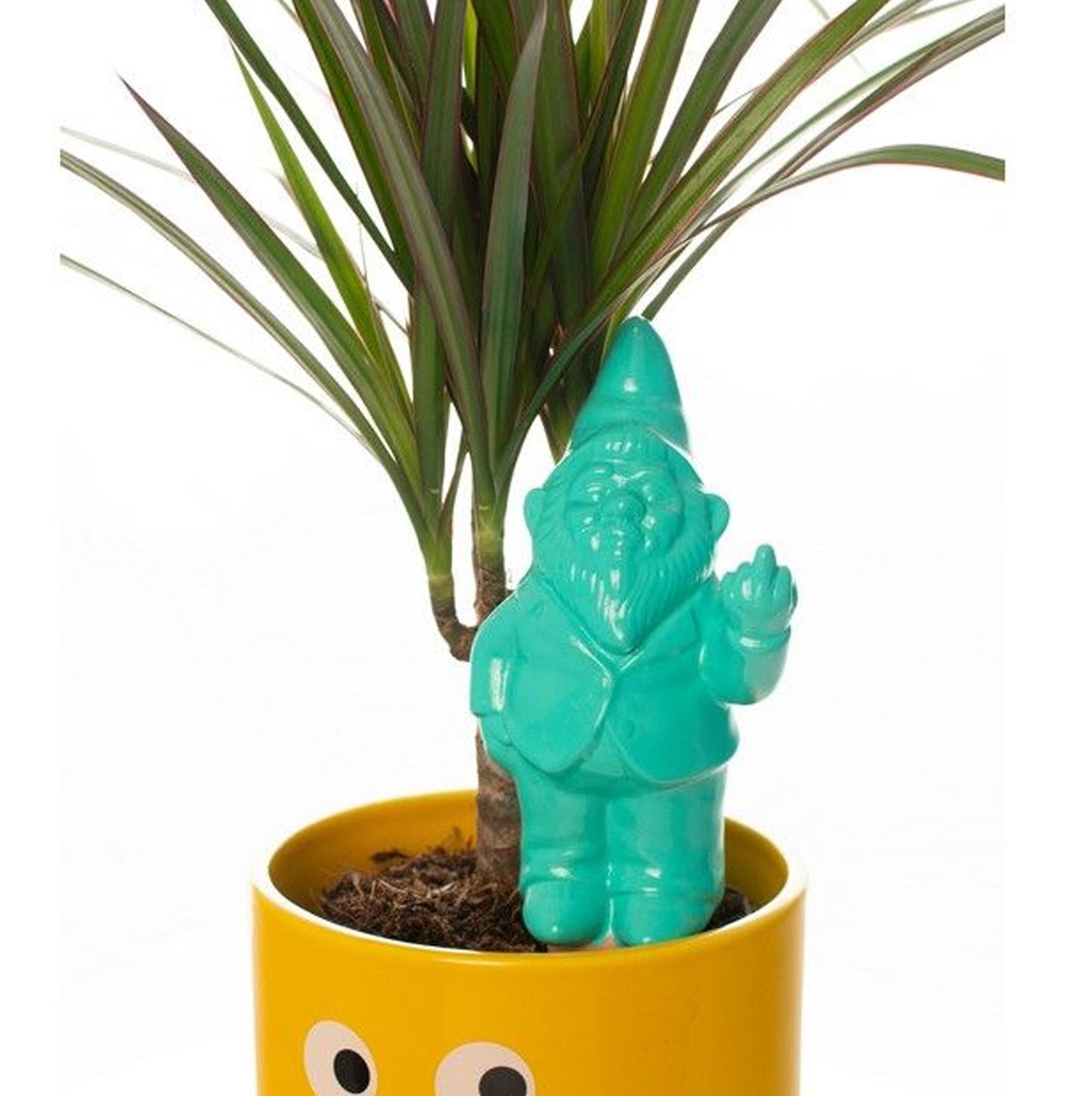 
                  
                    arroseur de plantes automatique nain
                  
                