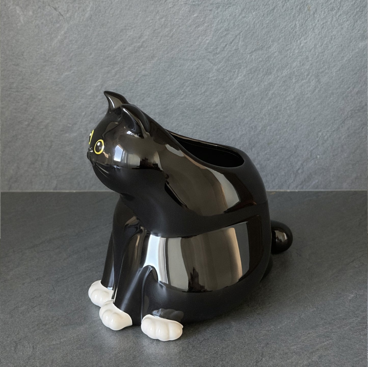 
                  
                    Vase chat
                  
                