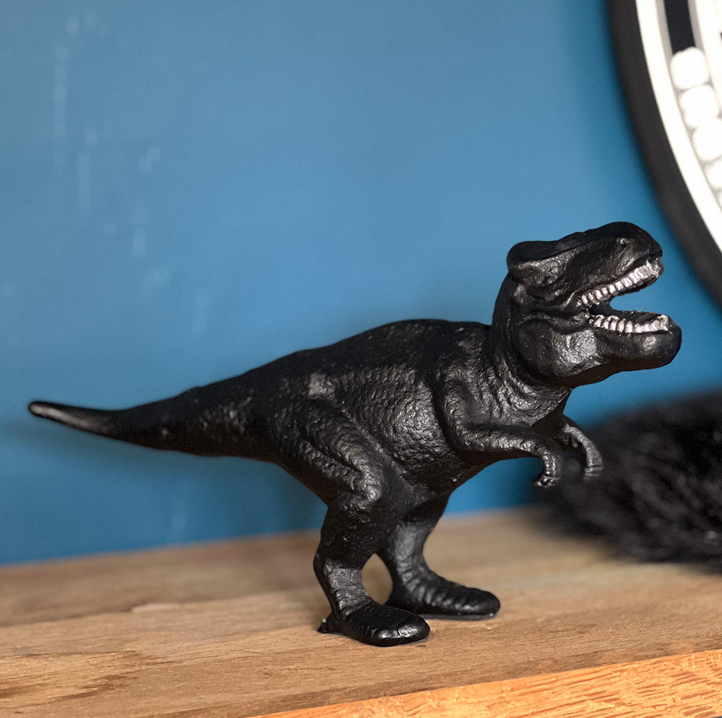
                  
                    Décapsuleur dinosaure T-rex noir
                  
                